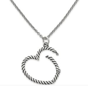 James Avery Changeable Heart Necklace Charm